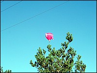 www.jpg